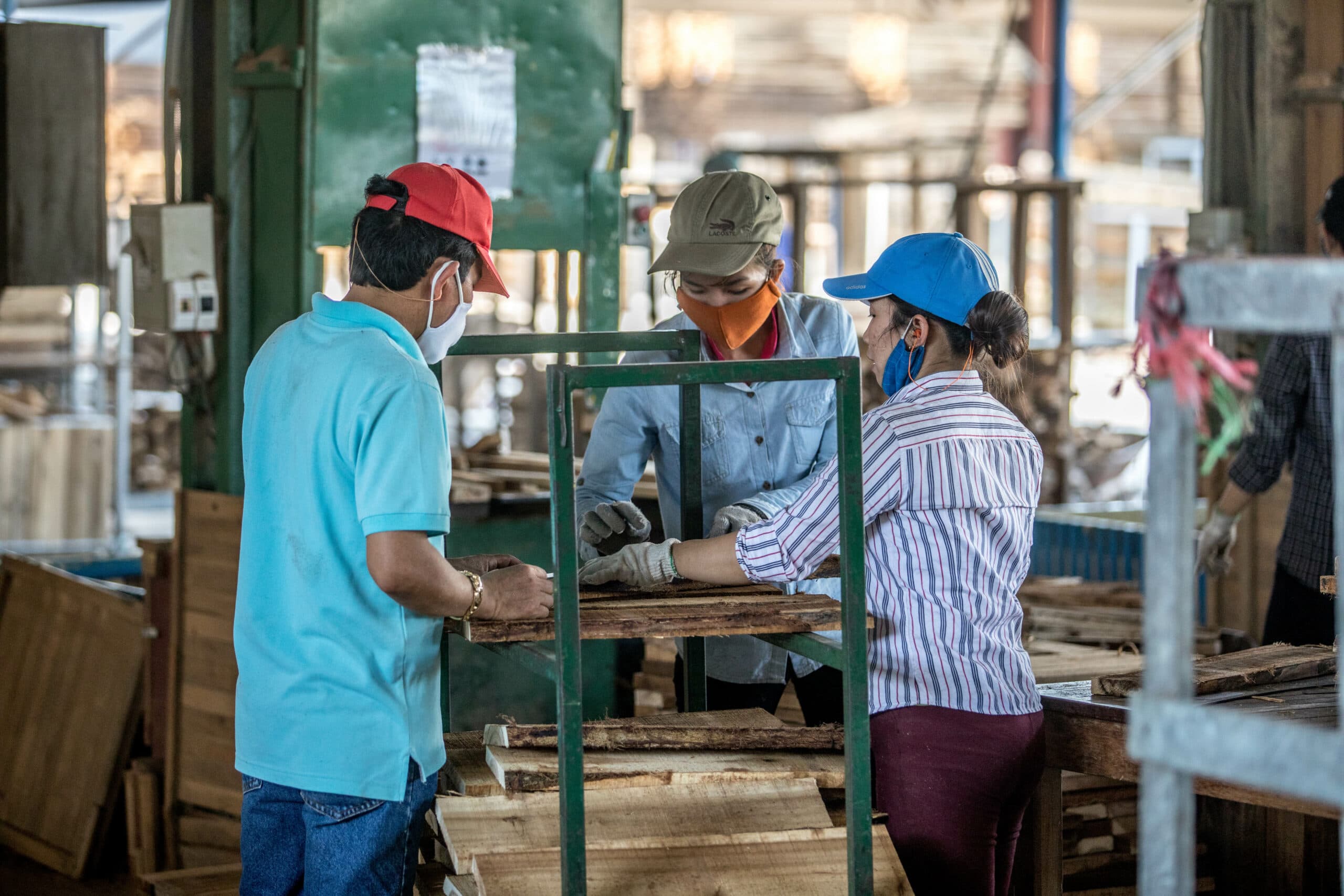 Timber James Vietnamese smallholders help end deforestation - Ikea